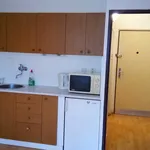 Rent 1 bedroom house in Jablonec nad Nisou