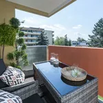 Rent 2 bedroom apartment of 45 m² in Nuremberg