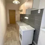 Rent 2 bedroom apartment of 49 m² in Plzeň