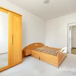 Rent 3 bedroom apartment in Praha 5