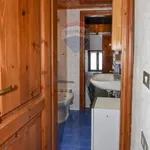 Rent 3 bedroom apartment of 70 m² in Campodolcino