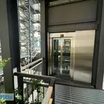 Rent 2 bedroom apartment of 56 m² in Milan