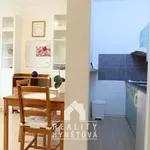 Rent 1 bedroom apartment of 35 m² in Blansko