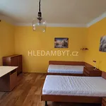 Rent 1 bedroom apartment of 33 m² in Capital City of Prague