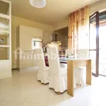 Rent 2 bedroom apartment of 70 m² in Pisa