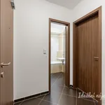 Rent 2 bedroom apartment in Praha 5