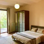 Rent a room in brussels