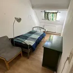 Rent a room in brussels