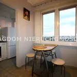 Rent 2 bedroom apartment of 41 m² in Włocławek