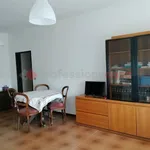 Rent 4 bedroom apartment of 80 m² in Siena