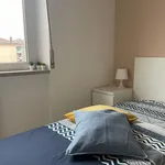 Rent 1 bedroom apartment in Milan