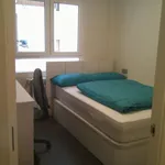 Alquilar 2 dormitorio apartamento en Oviedo