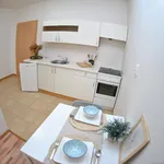 Studio of 45 m² in Brno