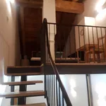 Rent 1 bedroom apartment in Turin