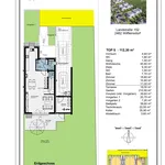 Neues Projekt: Doppelhaus oder Einzelhaus in Wilfleinsdorf! Geplante Fertigstellung Winter 2024/2025  - Reservierungen möglich