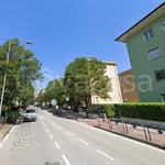 Rent 1 bedroom apartment of 35 m² in Trento