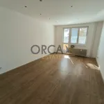 Rent 2 bedroom apartment in Hodonín