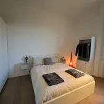 Rent 1 bedroom apartment of 75 m² in milan