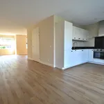 Rent 5 bedroom house of 190 m² in Katwijk