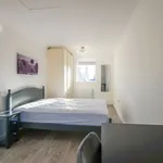 Rent 3 bedroom house in Chichester