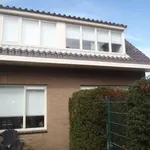 Rent 1 bedroom house of 44 m² in Dobbelmannduin