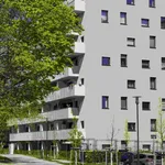 Rent 2 bedroom apartment of 50 m² in Berlin