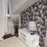 Rent 2 bedroom apartment of 40 m² in Turin