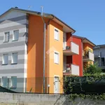 Rent 2 bedroom apartment of 55 m² in Lainate