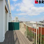 Rent 3 bedroom apartment of 77 m² in Brno