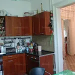 Rent 6 bedroom apartment of 160 m² in Eger