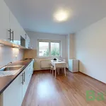 Rent 2 bedroom apartment of 40 m² in Brno