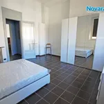 Rent 2 bedroom apartment of 70 m² in Novara