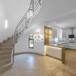 Rent 1 bedroom house of 243 m² in Capital City of Prague