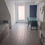 Rent 1 bedroom apartment of 30 m² in Croix