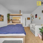 Rent 1 bedroom apartment in Prague