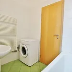 Rent 3 bedroom apartment of 95 m² in Brno