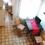 Rent 1 bedroom apartment of 29 m² in Padova