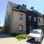 Rent 2 bedroom apartment in OORDEGEM