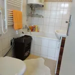 Rent 1 bedroom apartment of 29 m² in Hodonín