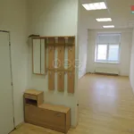 Rent 1 bedroom apartment in Ostrava