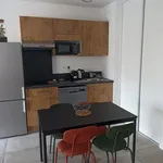 Appartement de 40 m² avec 1 chambre(s) en location à Lyon