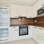 Rent 3 bedroom apartment of 70 m² in Vochov