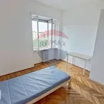 Rent 4 bedroom apartment of 100 m² in Turin