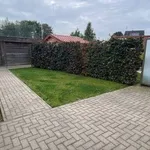 Rent 1 bedroom apartment in OOSTMALLE