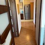 Rent 2 bedroom apartment of 42 m² in Nowy Sącz