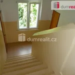 Rent 1 bedroom apartment in Ústí nad Labem