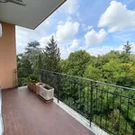 Rent 5 bedroom apartment of 153 m² in Rome