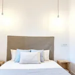 Rent 3 bedroom apartment in Segovia