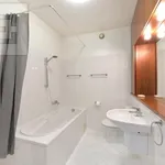 Pronajměte si 4 ložnic/e byt o rozloze 153 m² v Prague