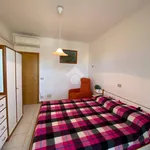 Rent 2 bedroom apartment of 40 m² in Cervia